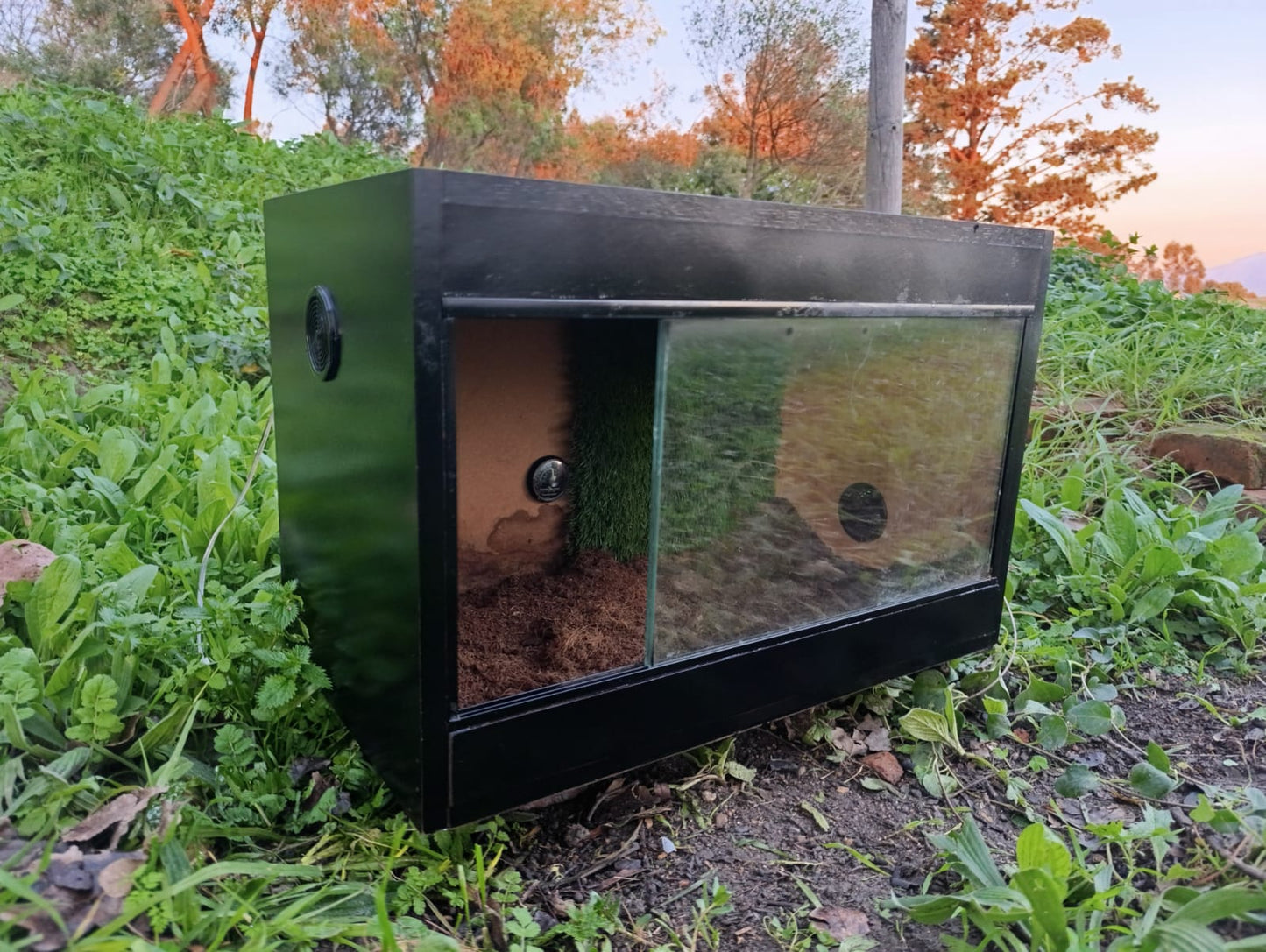 Wooden Enclosure