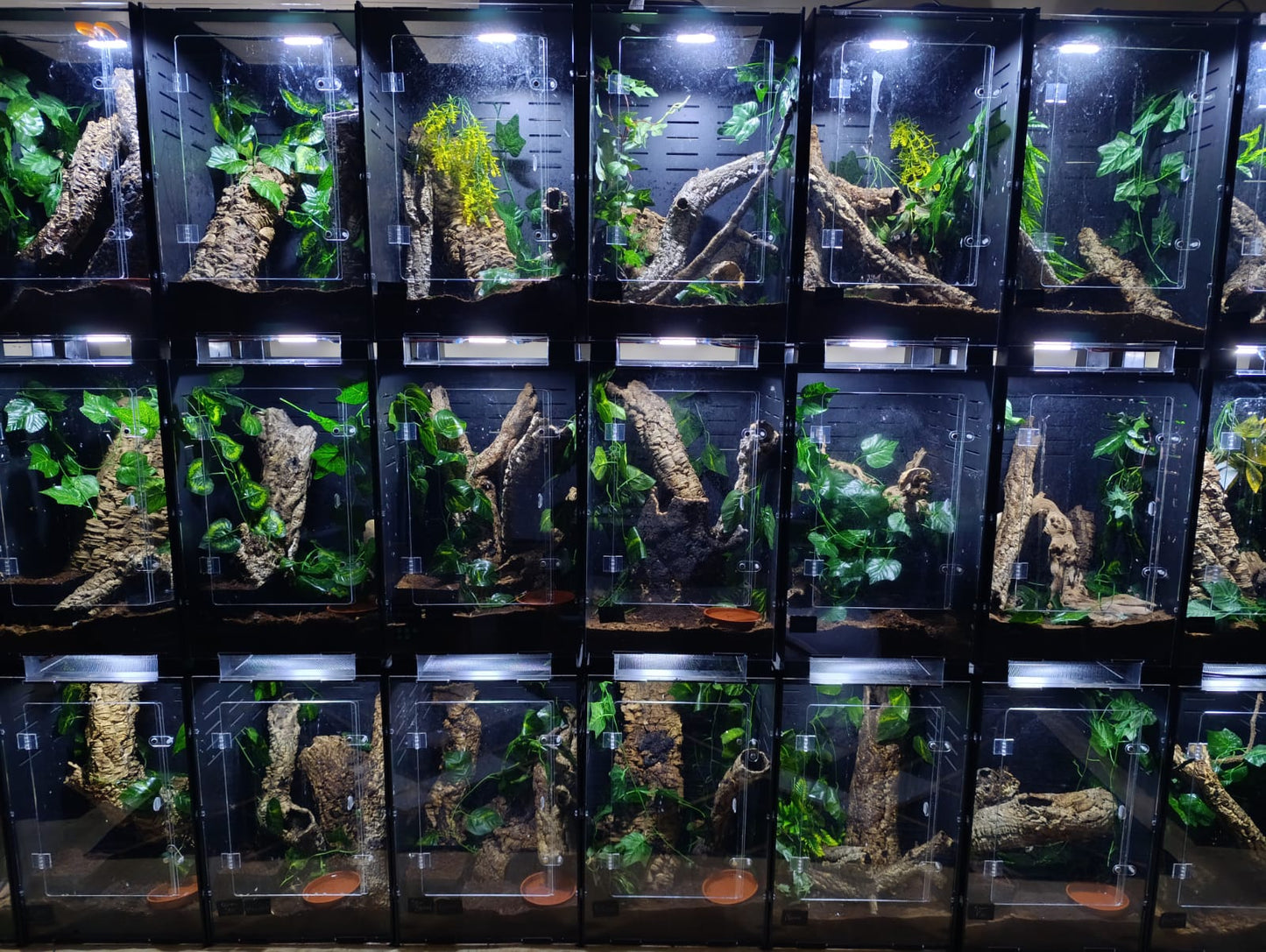 Reptile Enclosure 20 x 20 x 30