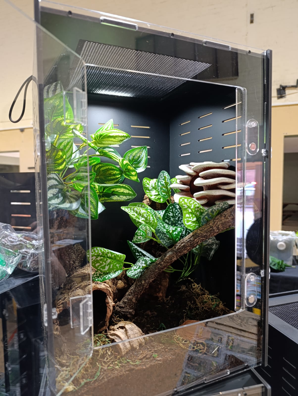 Reptile Enclosure 20 x 20 x 30
