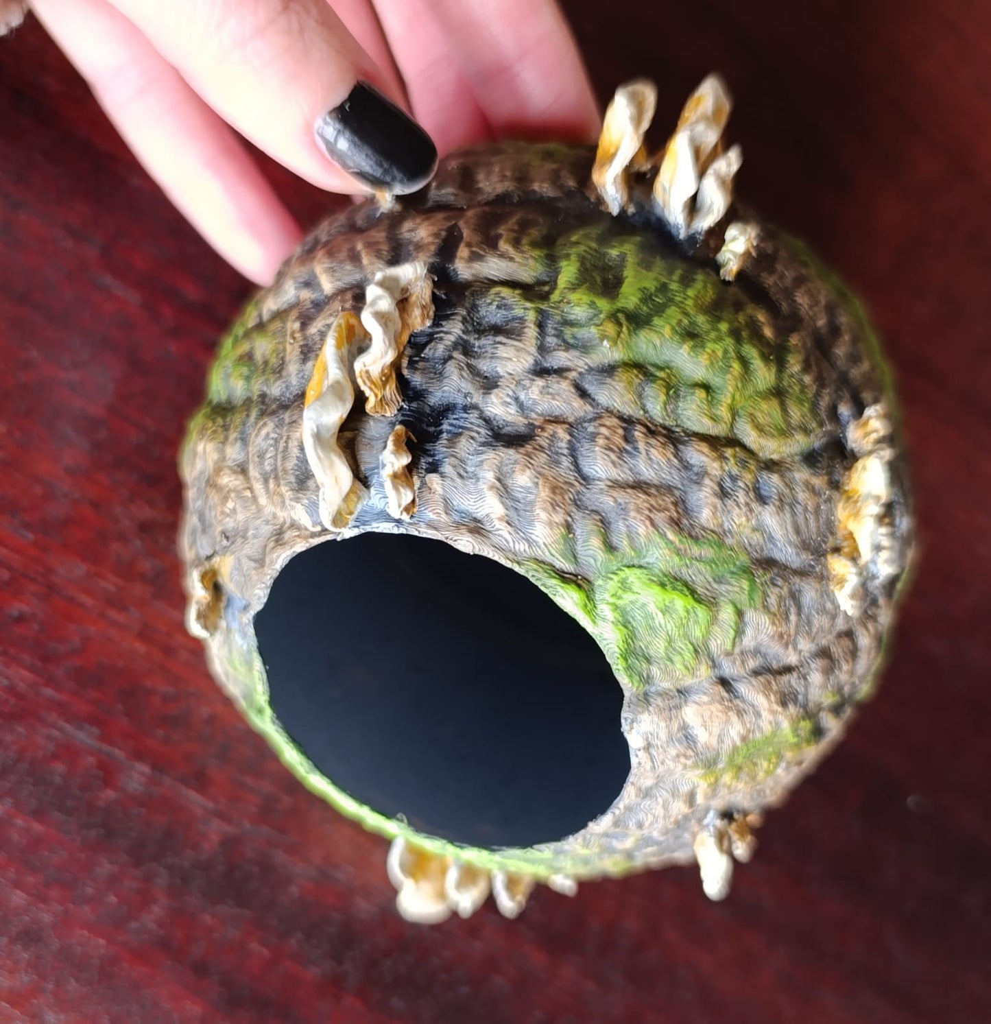 Suction Cup Hides and Ledges