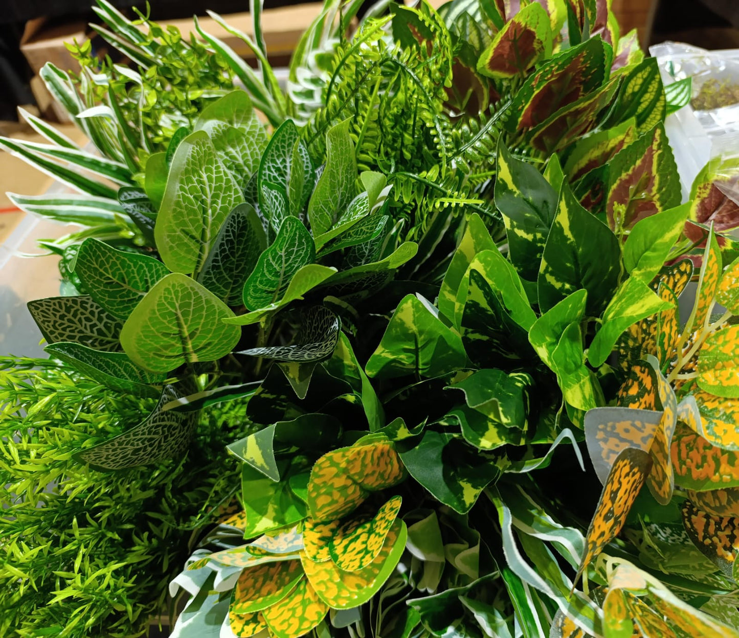 Plant bundle