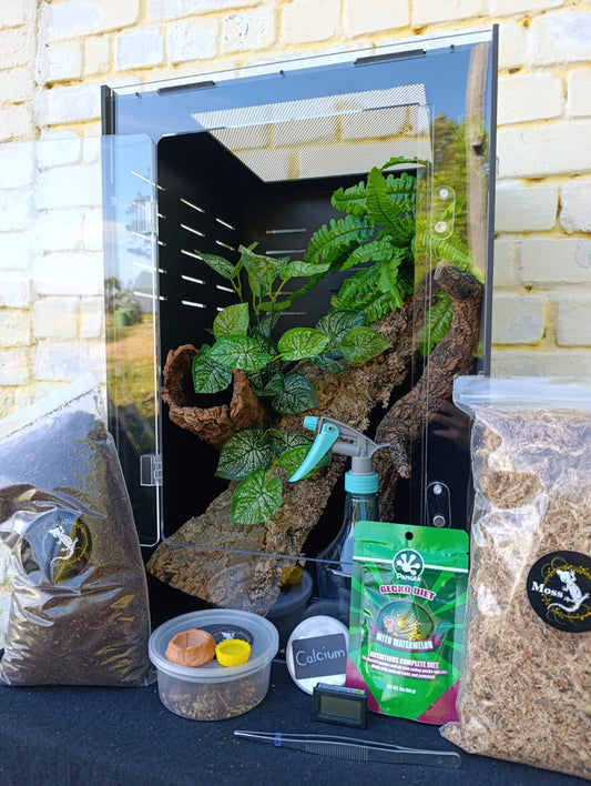 Complete crested gecko kit, large: 40x40x60 enclosure, plants, Pangea food and accessories