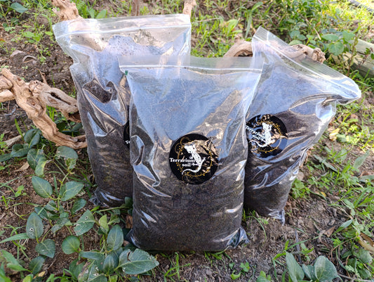 Terrarium soil