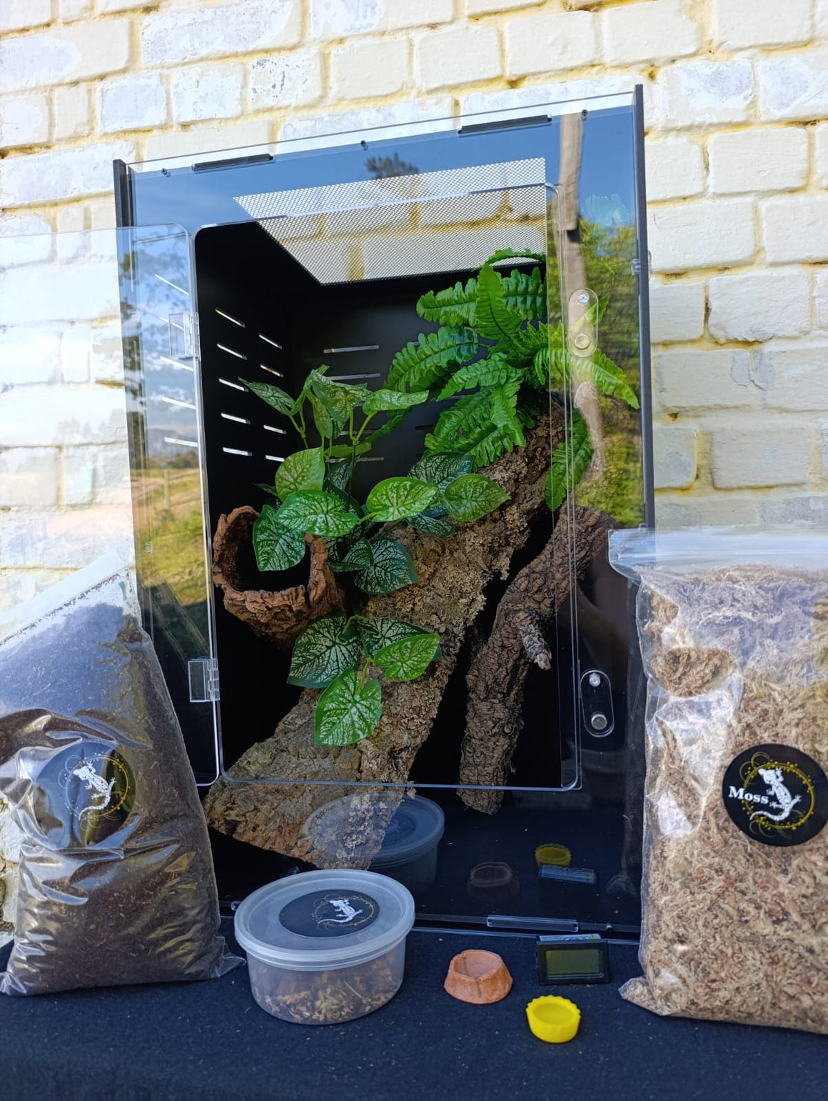 Large crested gecko enclosure kit with plants, cork bark and soil