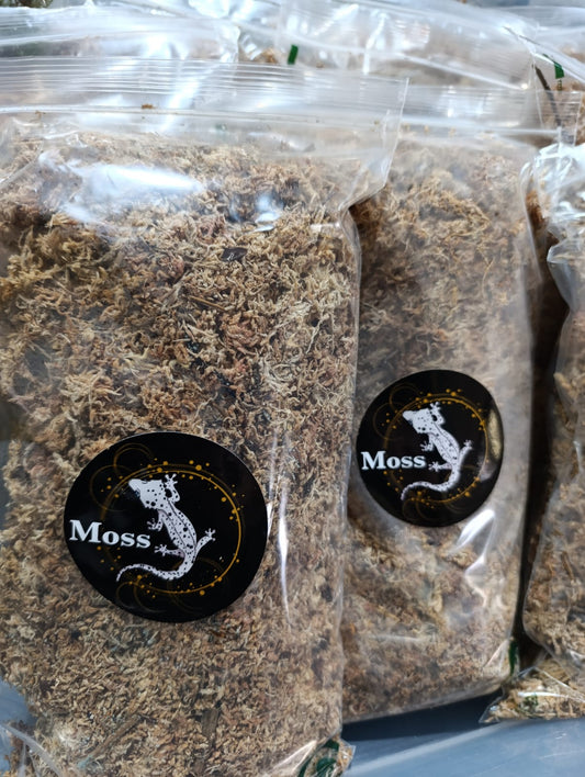 Chilean Moss