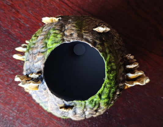 Magnetic feeding ledges and hides
