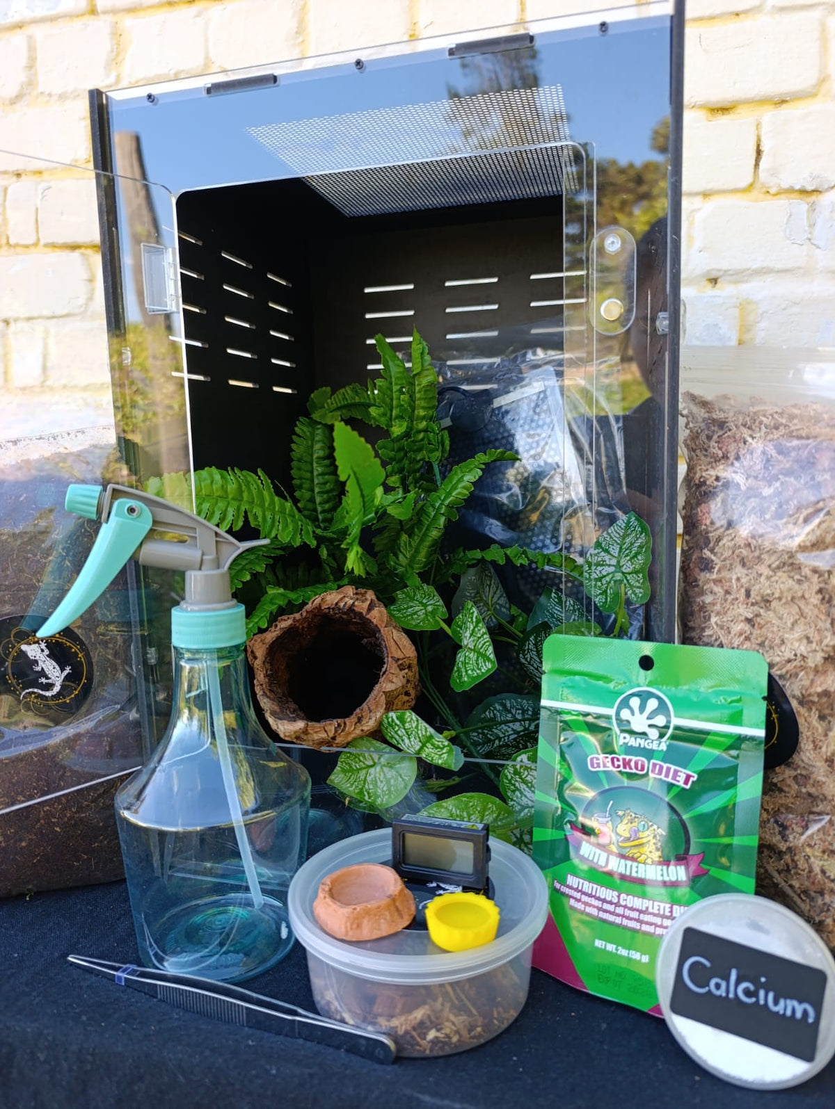 Complete Gecko Kit Medium