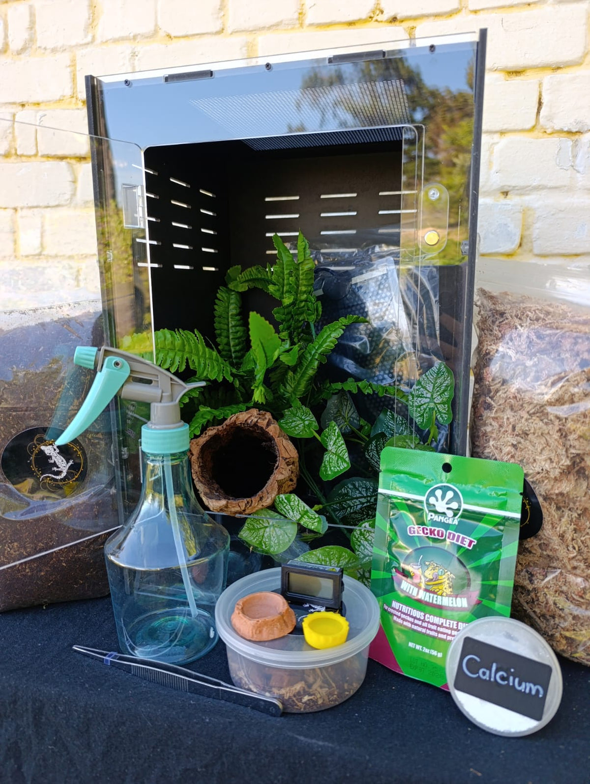 Complete Gecko Kit Medium