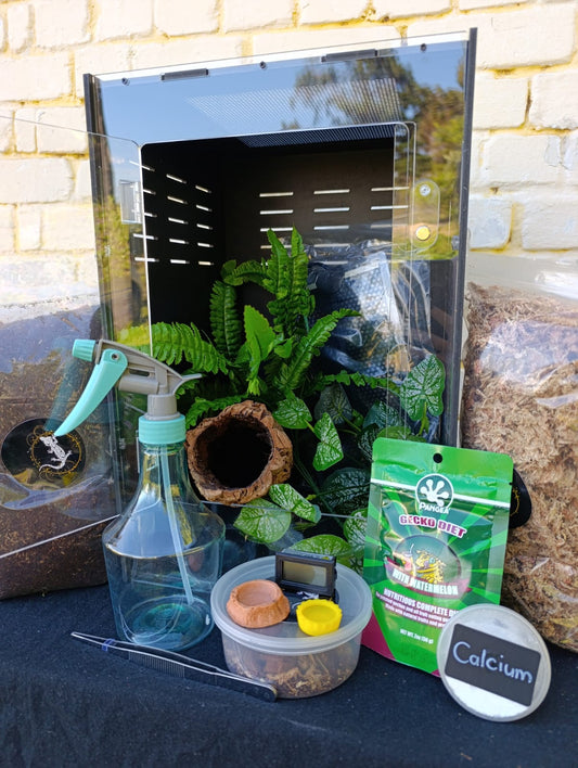 Complete crested gecko kit, medium: 30x30x45 enclosure, plants, Pangea food and accessories